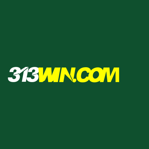 313win.com Logo