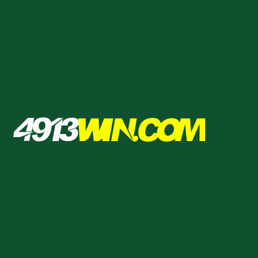 4913win.com Logo