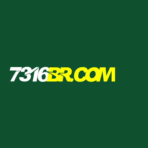 7316br.com Logo