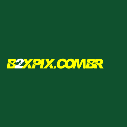 b2xpix.com.br Logo