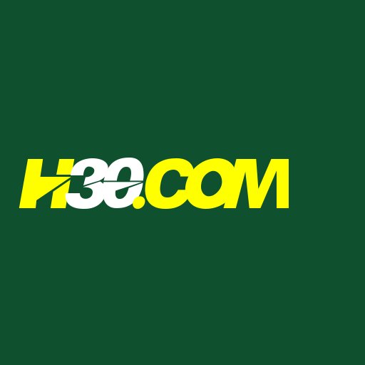 h30.com Logo