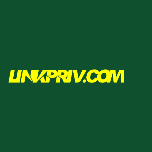 linkpriv.com Logo