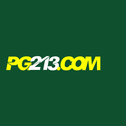 pg213.com Logo