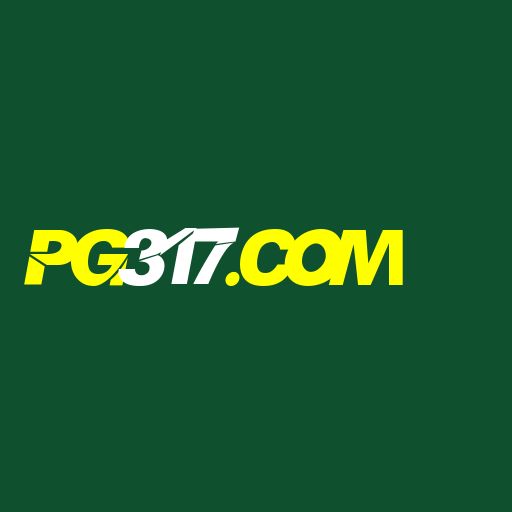 pg317.com Logo