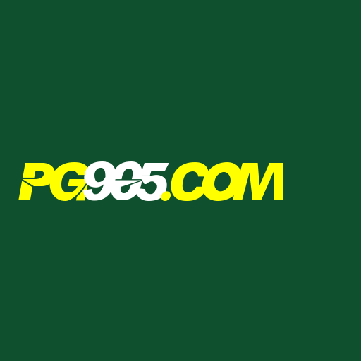 pg905.com Logo
