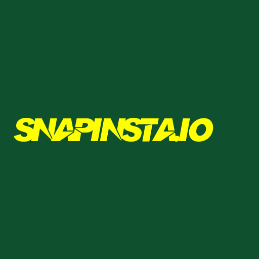 snapinsta.io Logo